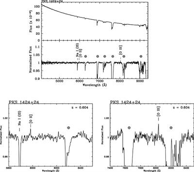 An Optical View of Extragalactic γ-Ray Emitters